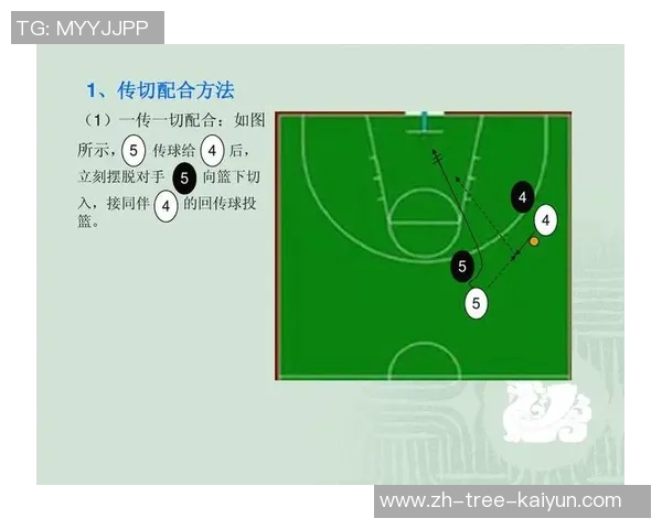 独家解析西安篮球队战术特点与对手战术的深度对比分析